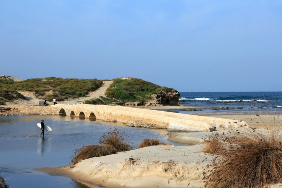 7. תל תנינים