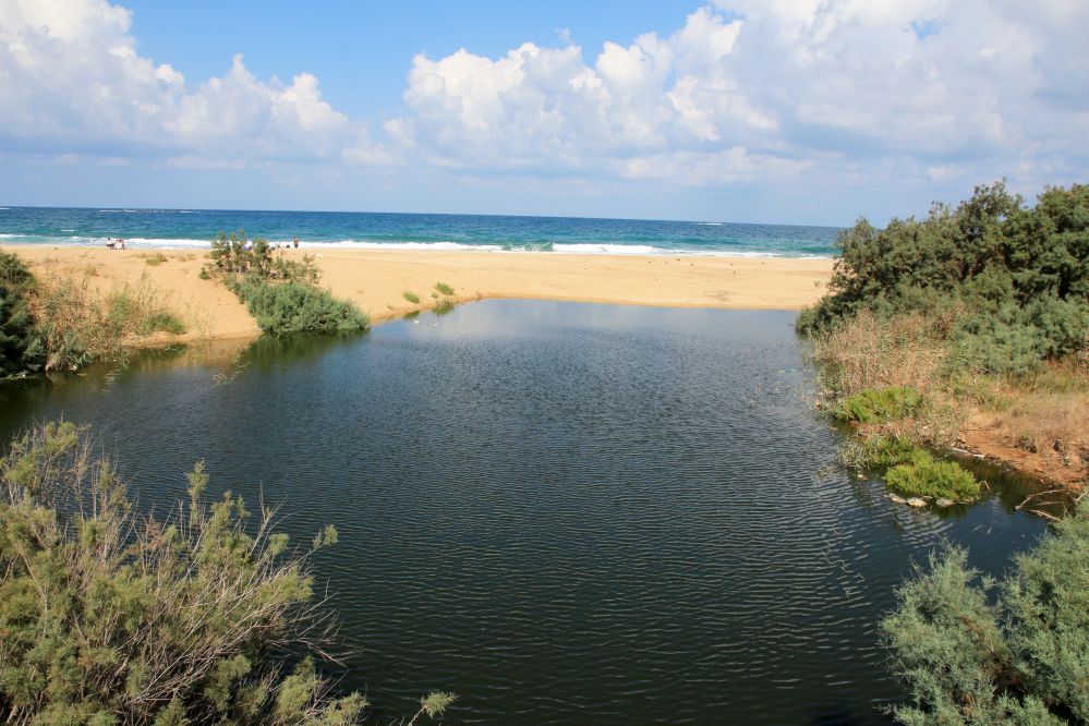 שפך נחל בצת (צילום: צוות שביל הים)