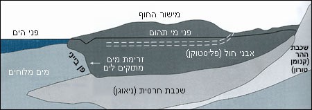 חתך גיאולוגי סכמטי המתאר את אקוויפר החוף (מקור: ספריית מט"ח)
