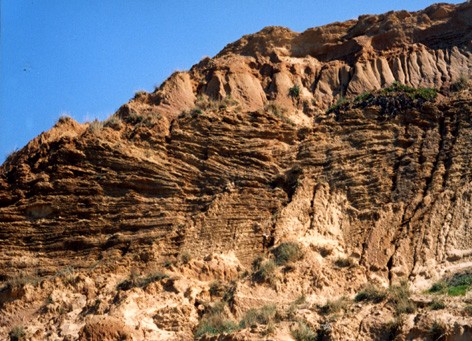 שיכוב צולב ברכס כורכר (צילום: צוות שביל הים)
