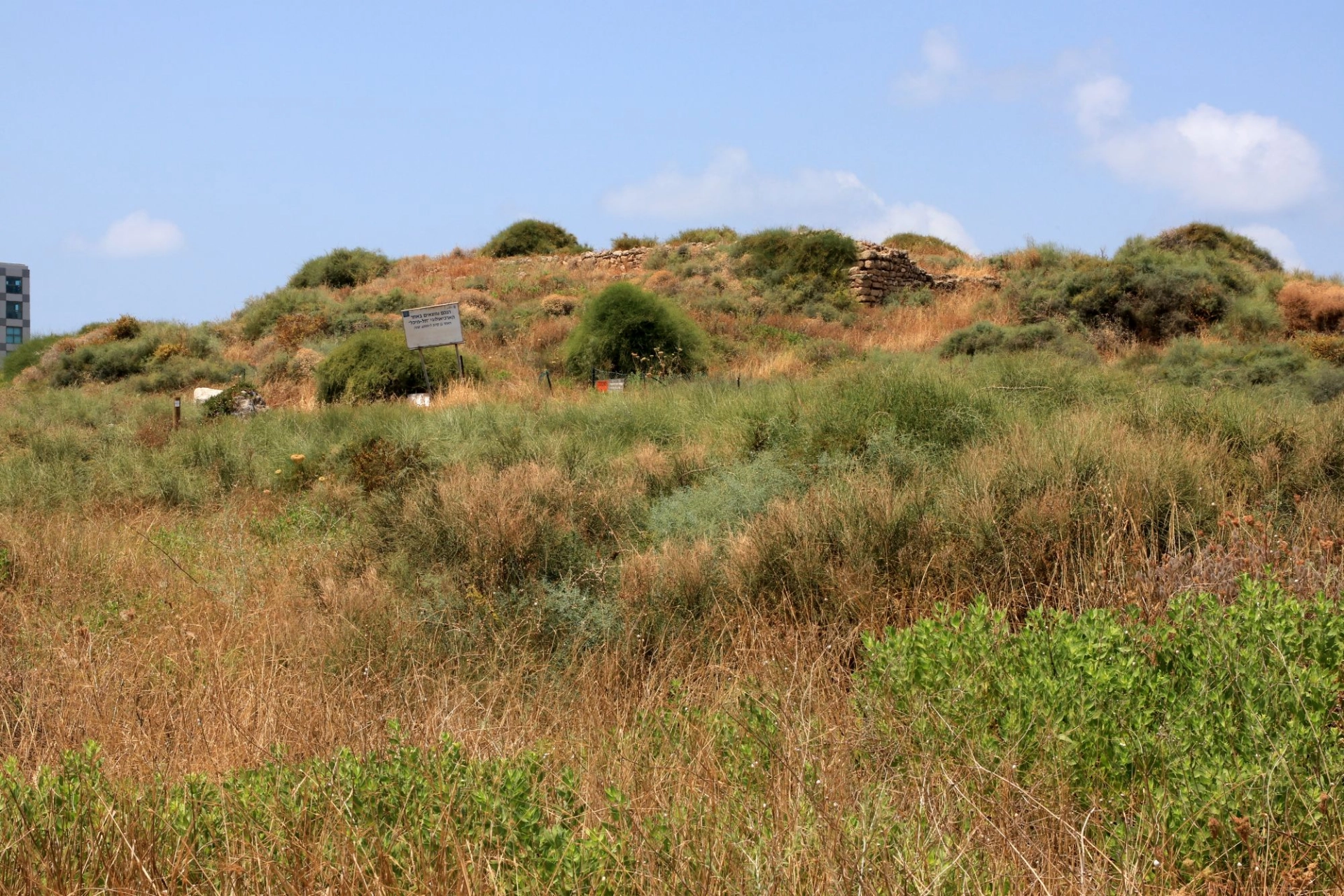 2. תל מיכל